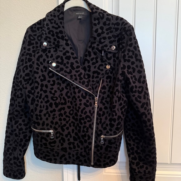 Ann Taylor Black Leopard Print Moto Jacket Size 10 - Picture 1 of 4